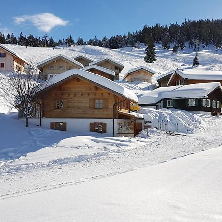 Alpenchalet Garfrescha Villa Sankt Gallenkirch Bagian luar foto