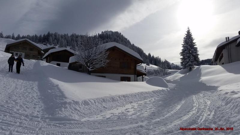 Alpenchalet Garfrescha Villa Sankt Gallenkirch Bagian luar foto