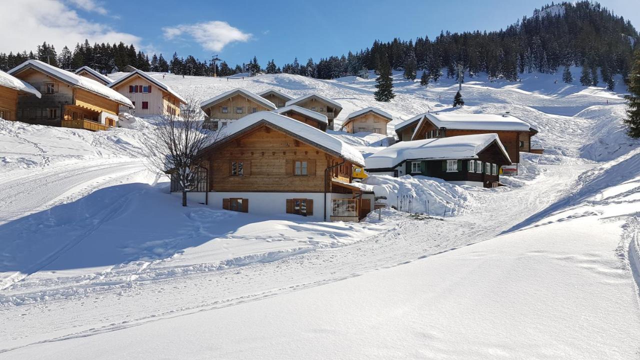 Alpenchalet Garfrescha Villa Sankt Gallenkirch Bagian luar foto