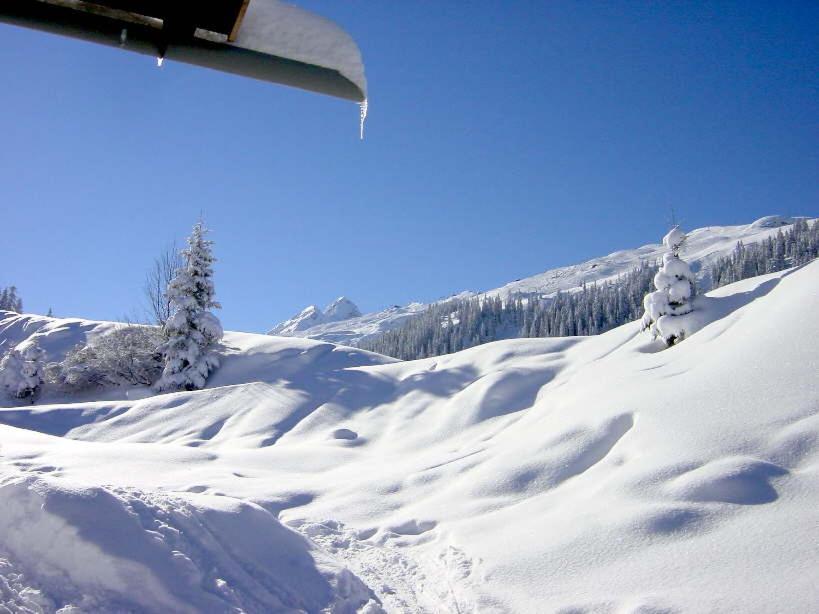 Alpenchalet Garfrescha Villa Sankt Gallenkirch Bagian luar foto